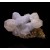 Calcite on Fluorite Moscona Mine M05375